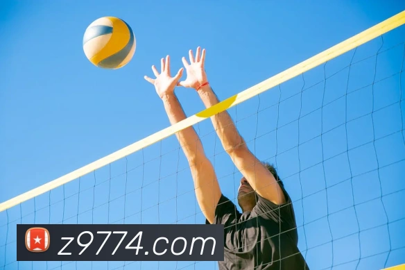 奖项证书